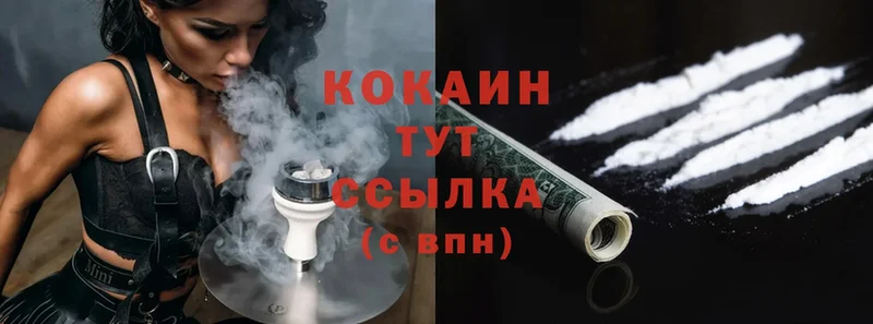 магазин    Лесозаводск  Cocaine Эквадор 