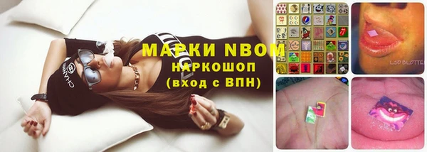 молекула духа Магадан