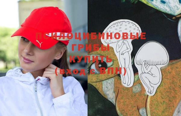 круглые Магас