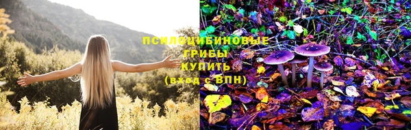 PSILOCYBIN Вязники