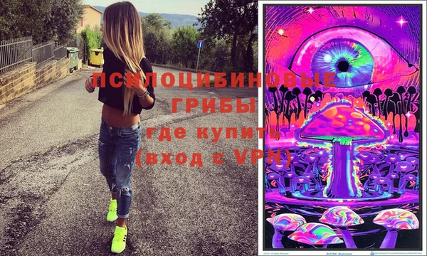 твердый Лиски