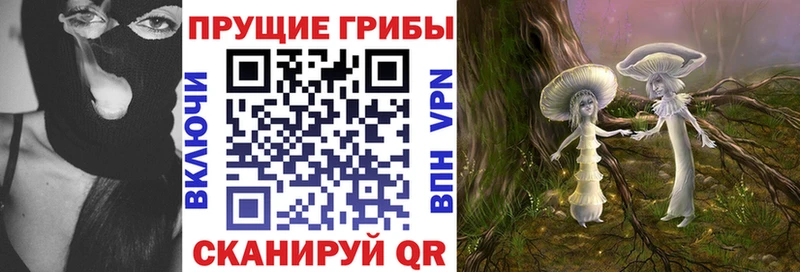 Галлюциногенные грибы мицелий  OMG как зайти  Лесозаводск 