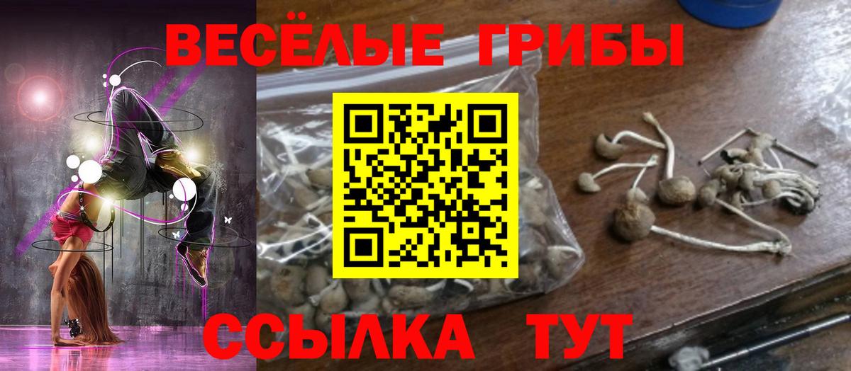 Галлюциногенные грибы Cubensis  Вход с VPN  Лесозаводск  Галлюциногенные грибы мицелий 
