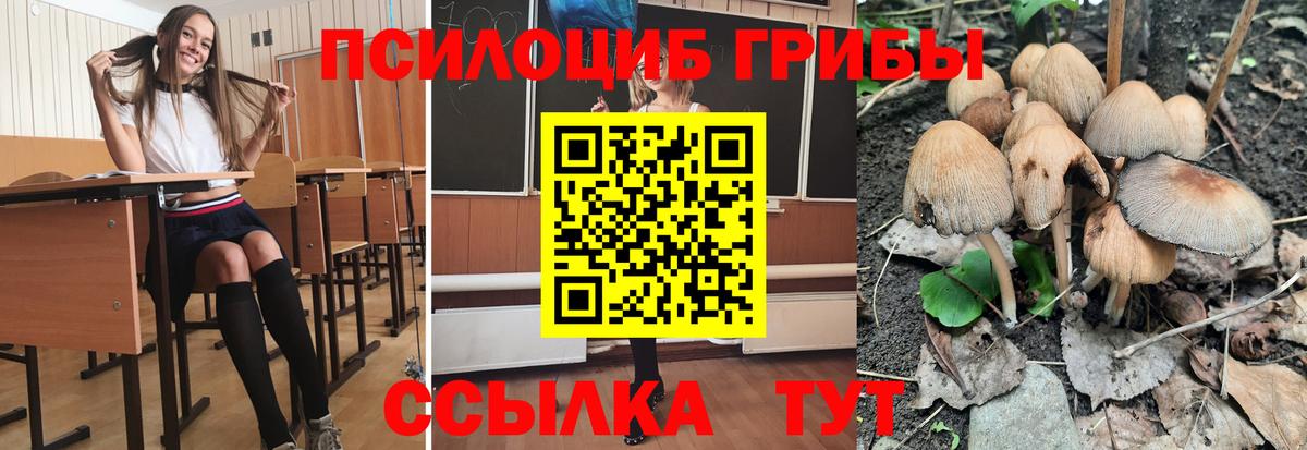 ГАШ  Cocaine  Марихуана  Кокаин  Меф МЯУ МЯУ   Лесозаводск  Гашиш  MDMA  МЕТАДОН 